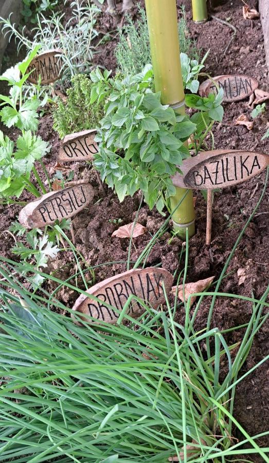 Willa Pocitniska Hisa Car Dobrovnik Zewnętrze zdjęcie
